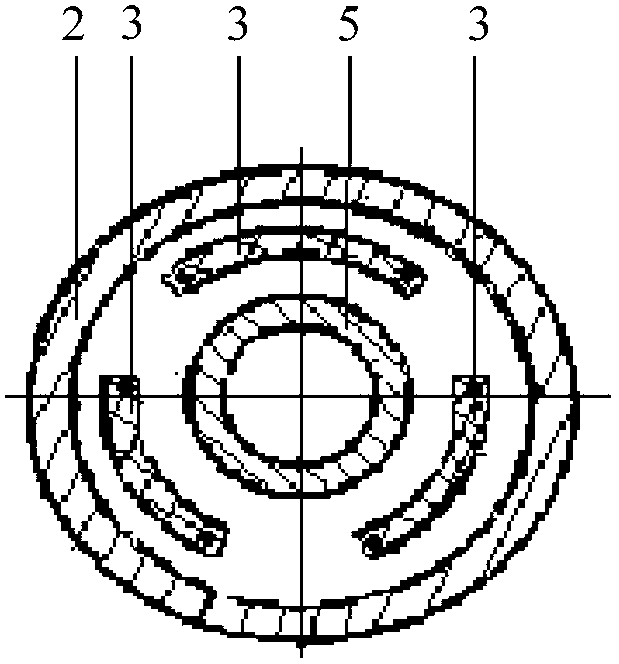 Implant-type blood flowing pump with self-suspended shaft