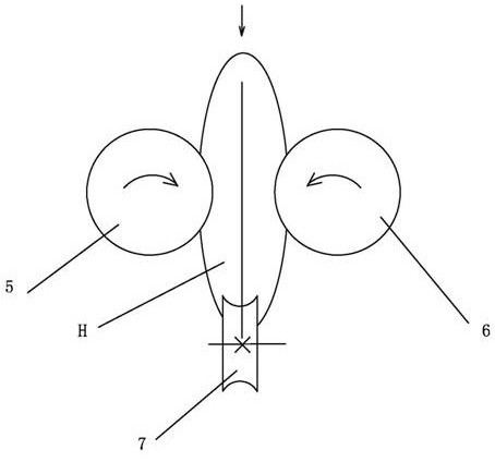 Rod-shaped rice with germ and its processing method and application