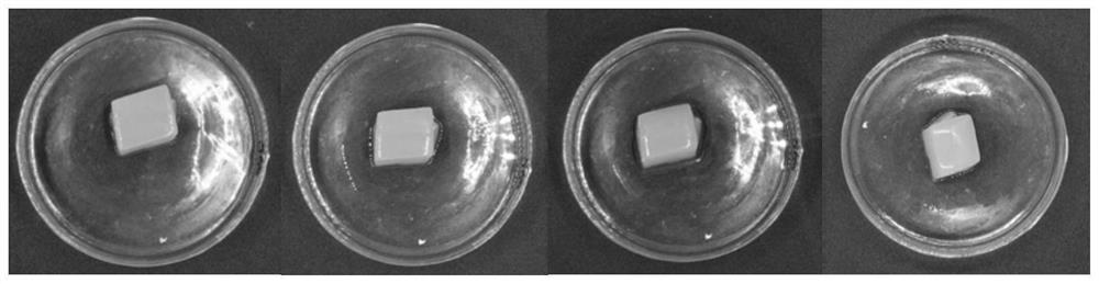 Preparation method of fish skin collagen peptide jelly capable of being stored and transported at normal temperature