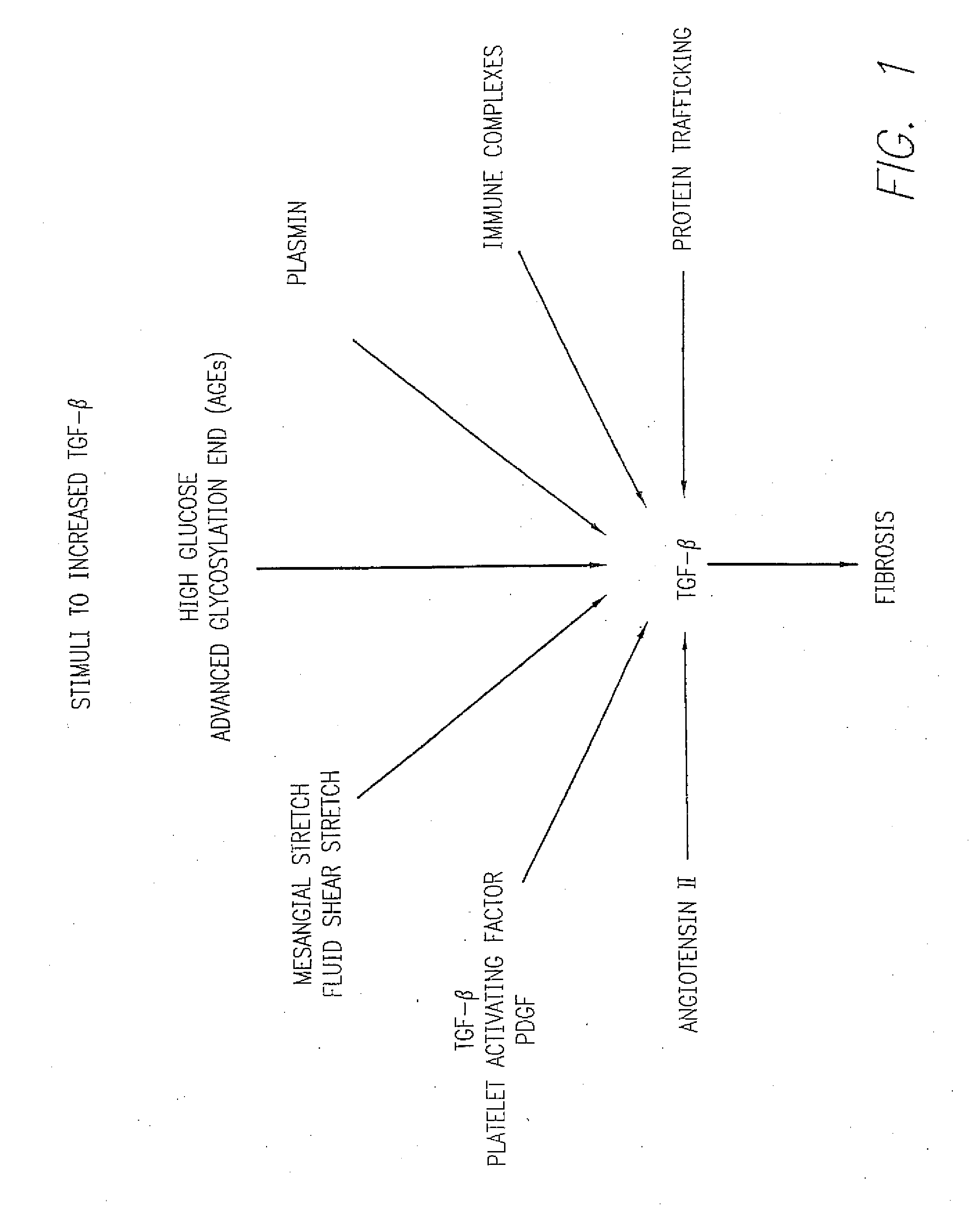 Methods for treating conditions associated with the accumulation of excess extracellular matrix