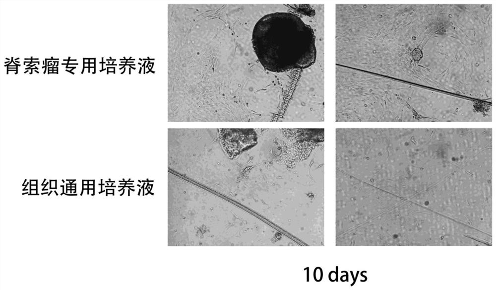 a tissue preservation solution