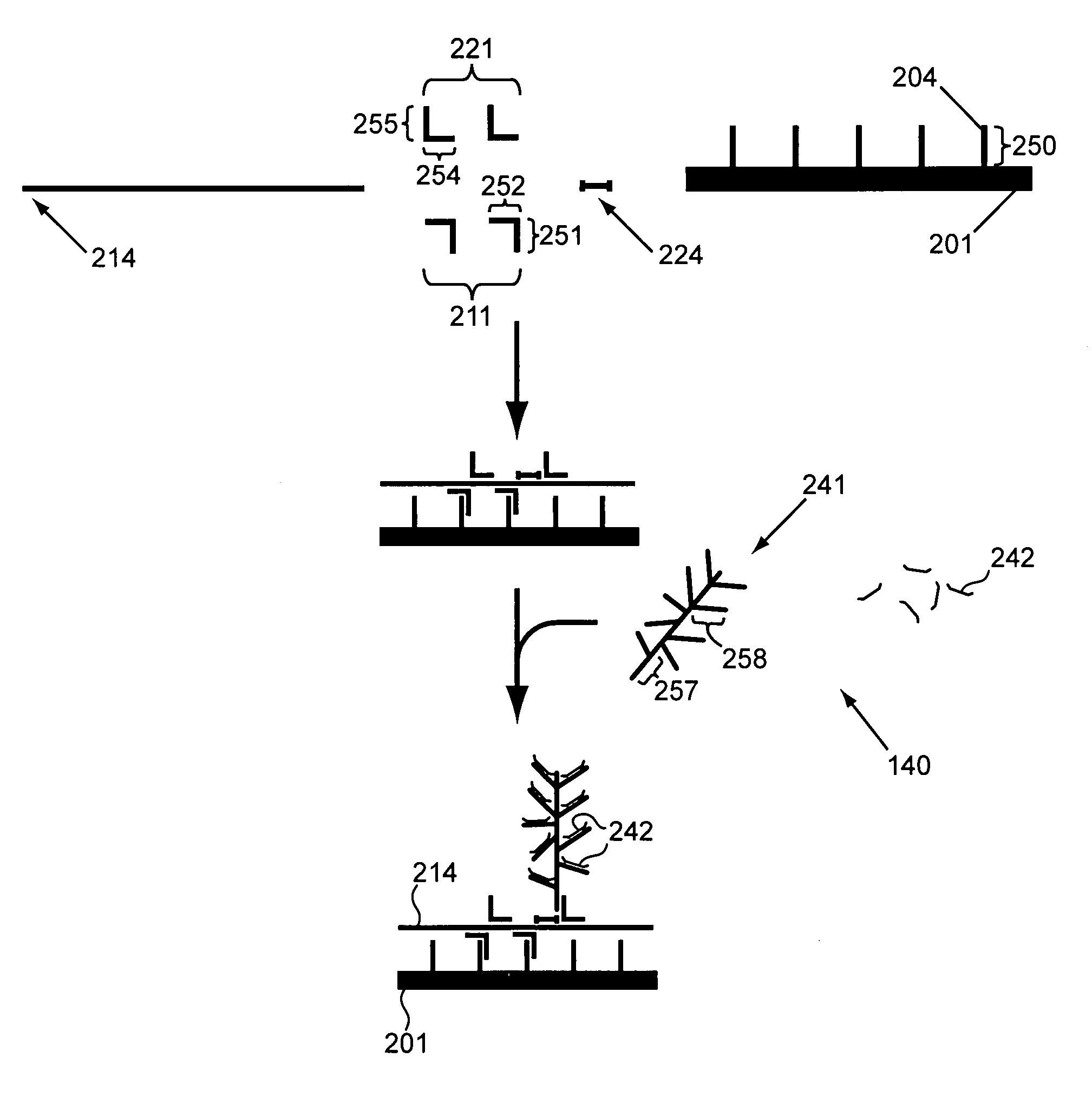 Two stage nucleic acid amplification using an amplification oligomer
