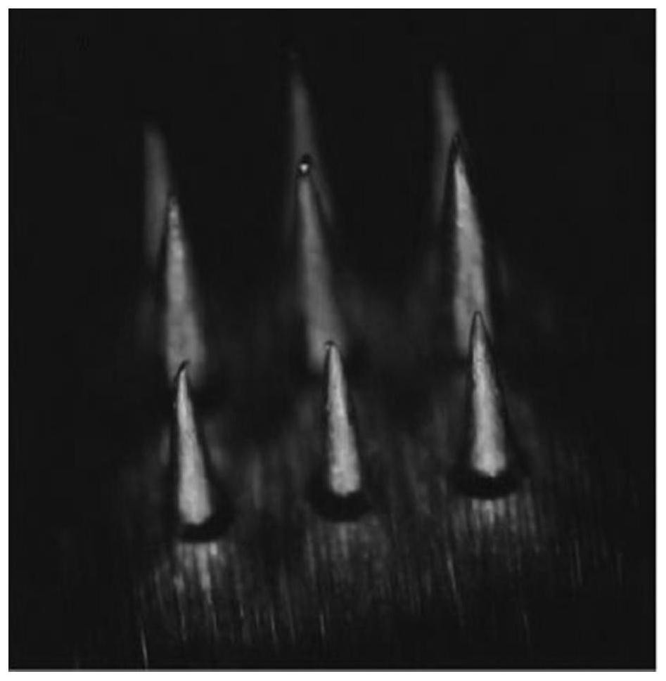 Preparation method of metal microneedle array and polymer microneedle patch