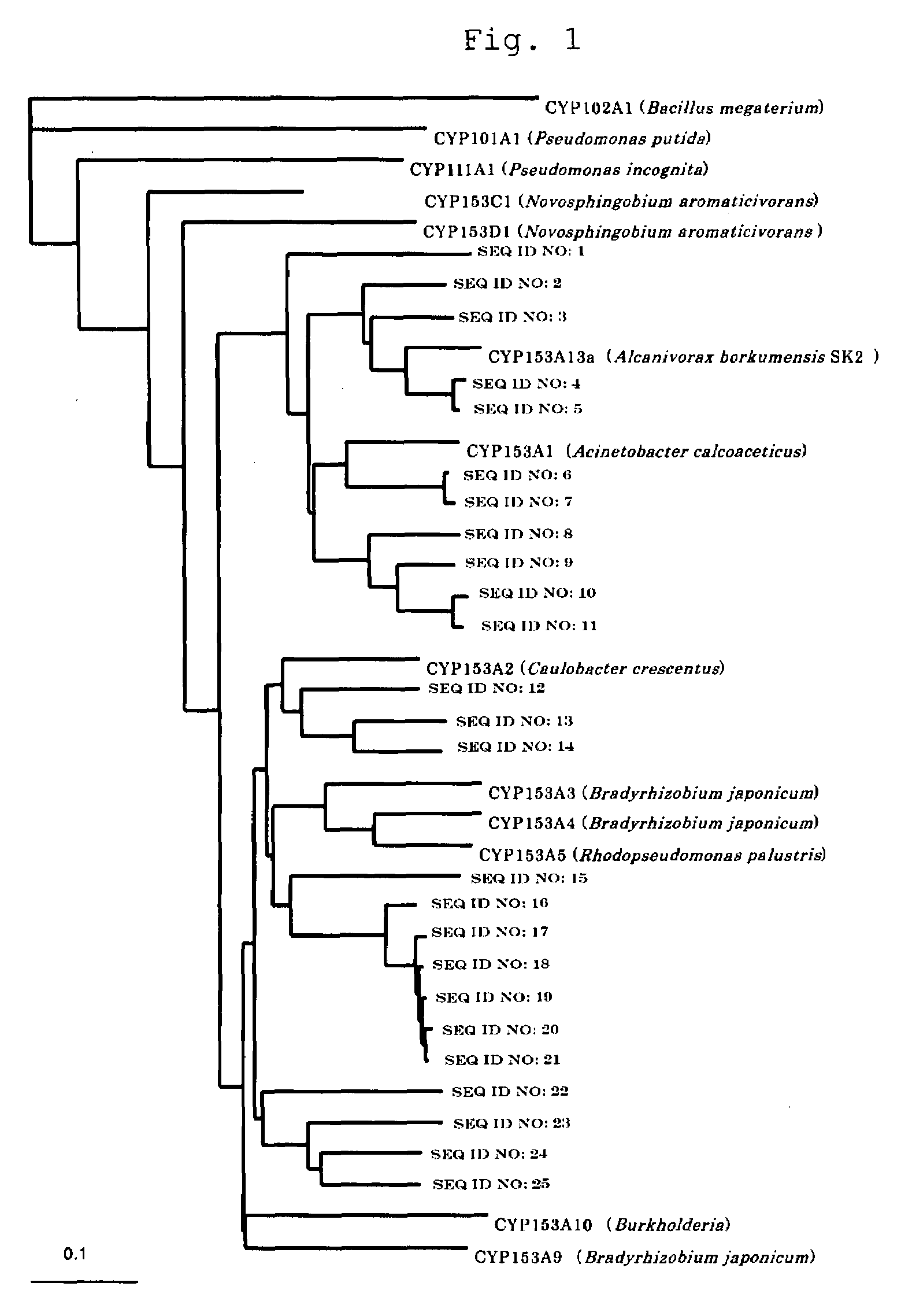 Method of Isolating P450 Gene