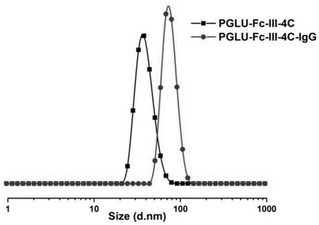 Polypeptide, preparation method of polypeptide, bispecific antibody and application of bispecific antibody