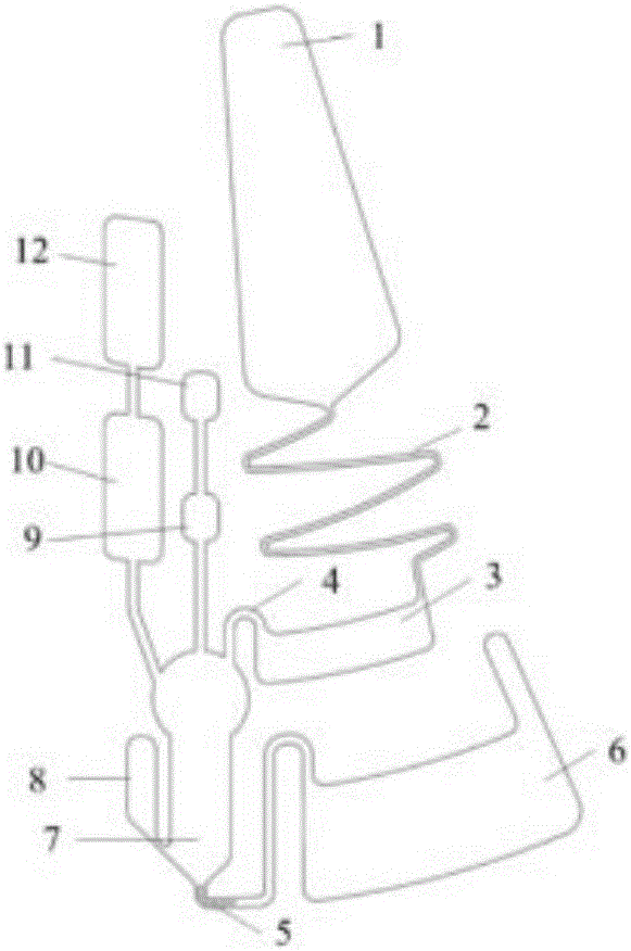 Chorionic gonadotropin beta subunit microfluidic disc and use method thereof