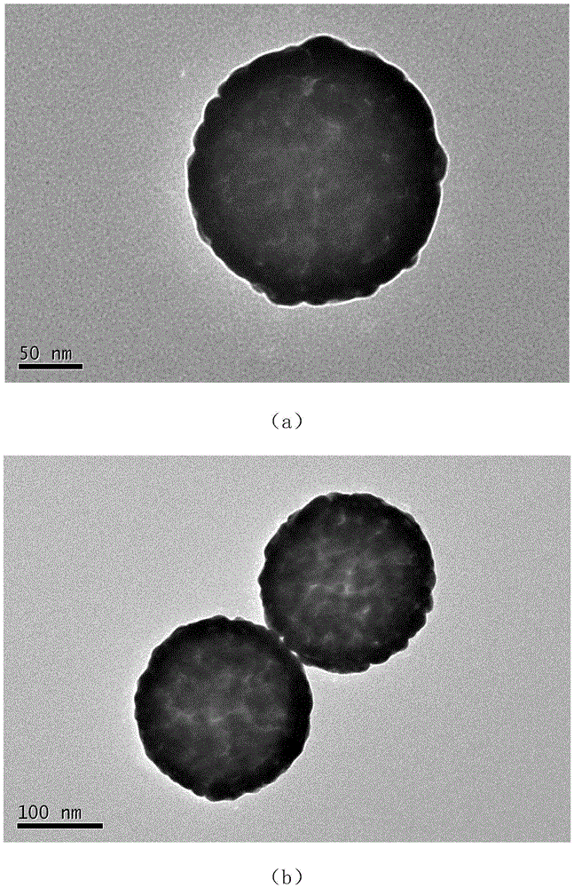 Preparation method of nanoparticles capable of being heated and measuring temperature