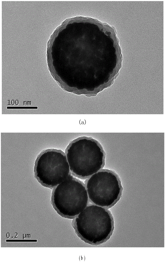 Preparation method of nanoparticles capable of being heated and measuring temperature