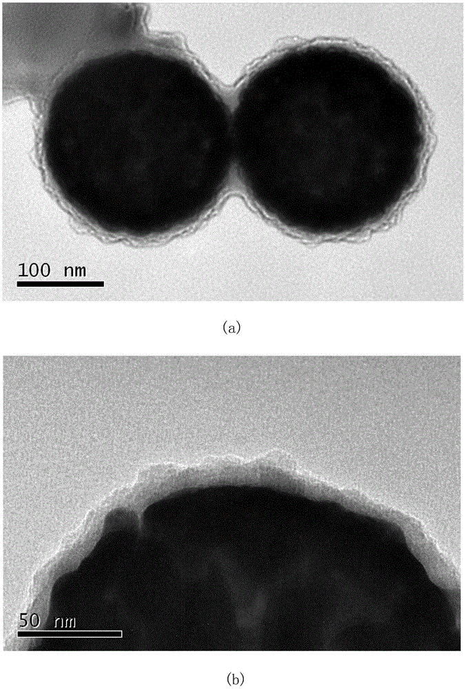 Preparation method of nanoparticles capable of being heated and measuring temperature