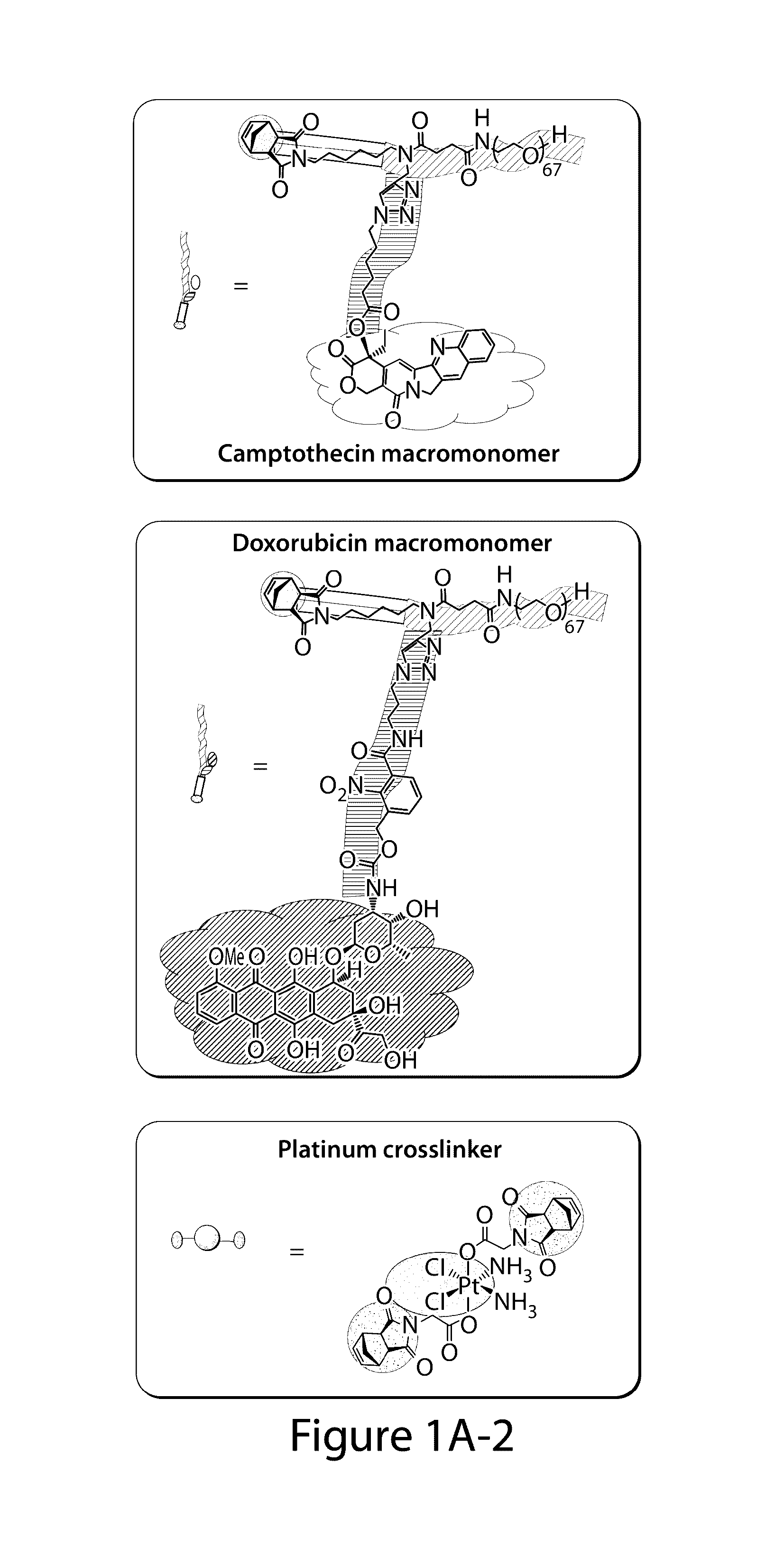 Drug delivery polymer and uses thereof