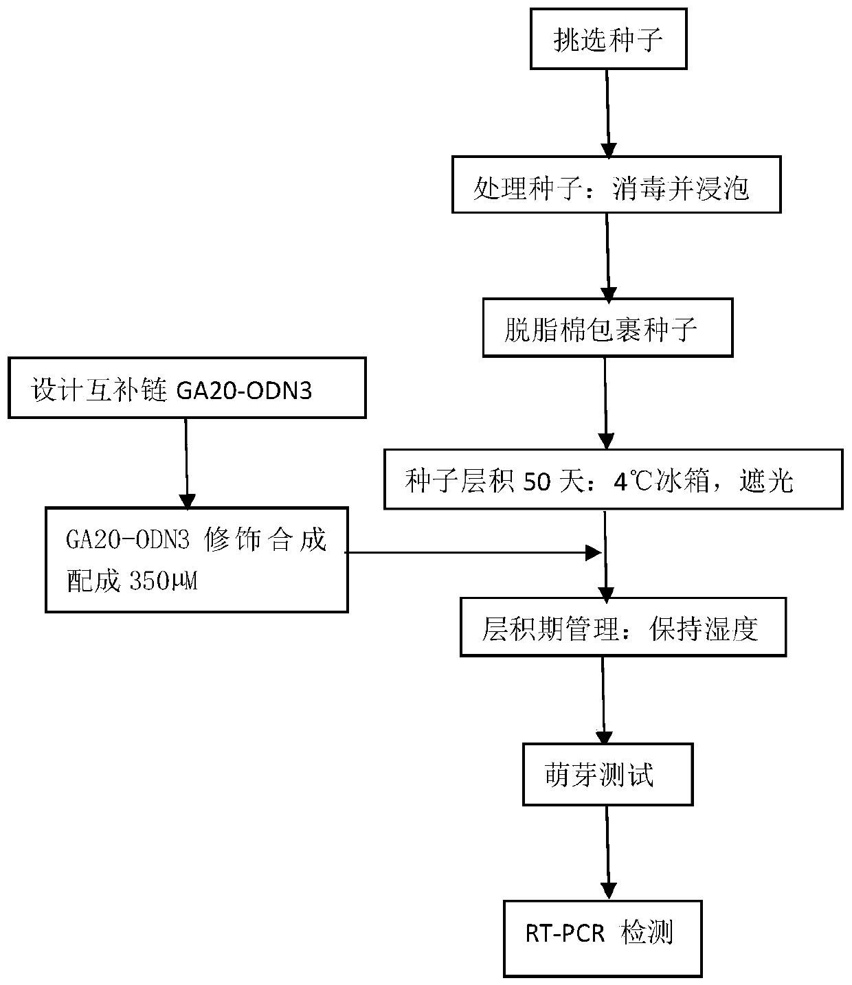 A method for inhibiting the expression of gibberellin synthetic gene in pear seeds