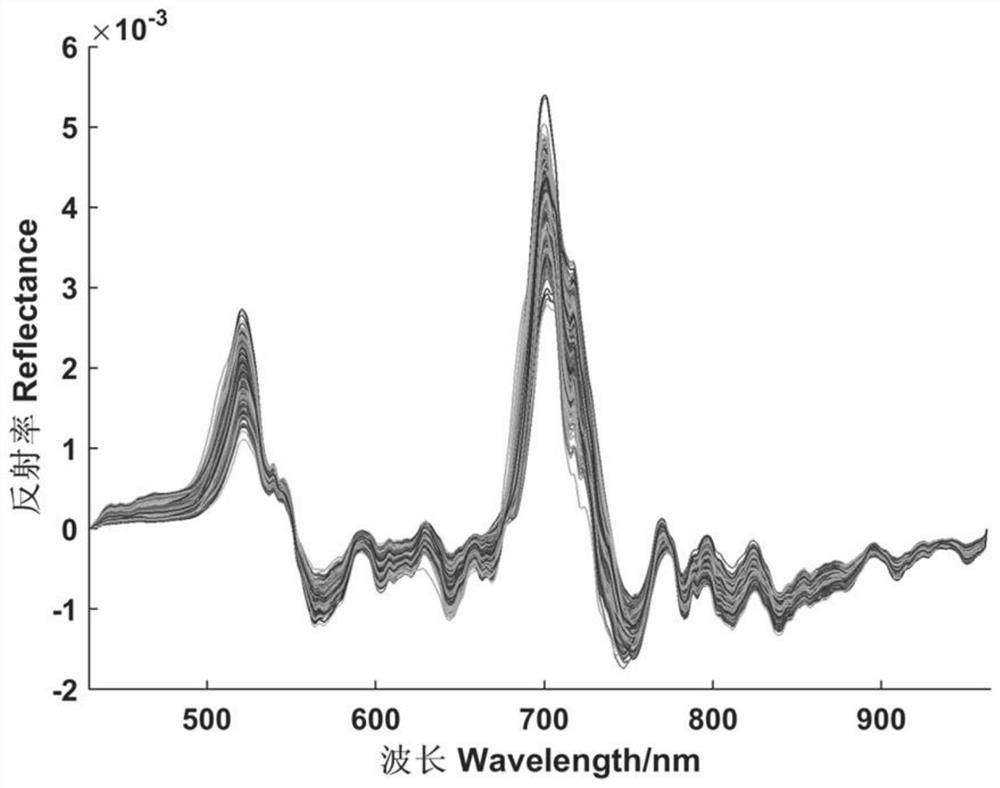 Establishment method of vis-nir spectral depth feature model based on sae-lssvr cadmium content in crops