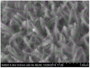 NiCo2O4@NiCo2O4 nanometer material for super capacitor electrode and preparation method thereof