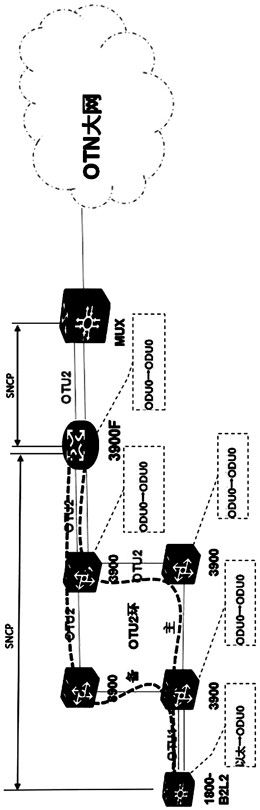 Complex service arrangement method based on networking topology, storage medium and equipment