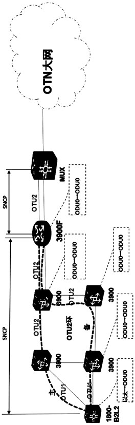 Complex service arrangement method based on networking topology, storage medium and equipment