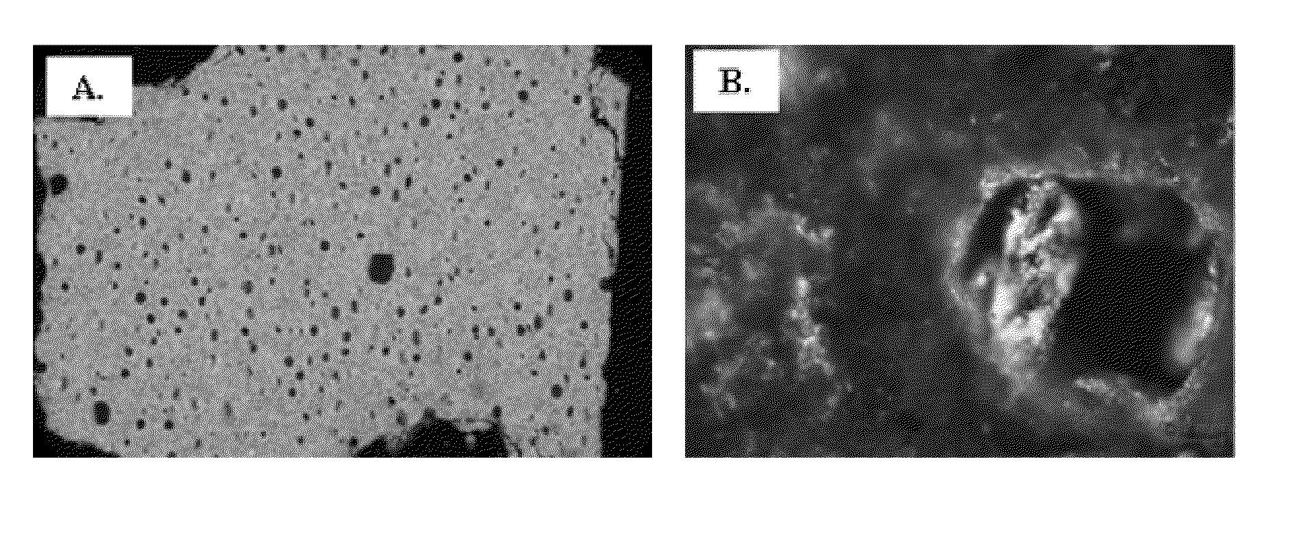 Lightweight hollow particles for use in cementing