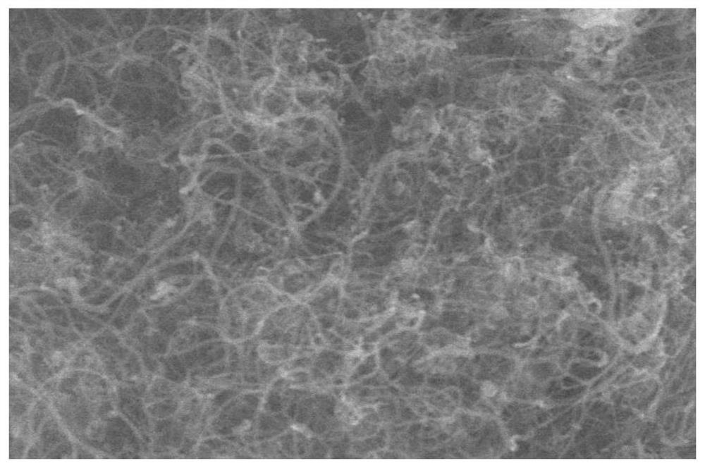 Preparation method of carbon nanotube composite material