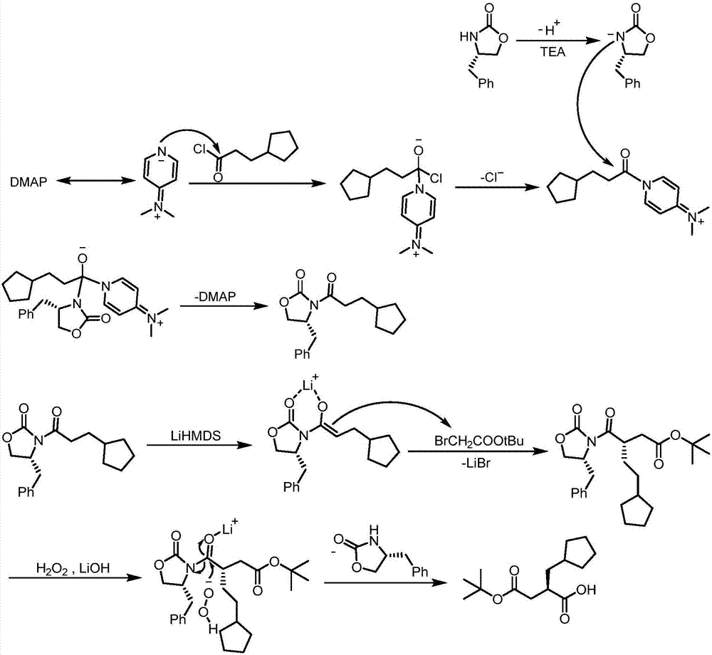 Synthesis method of (R) 4 (tert-butoxy) 2 (cyclopentyl methyl) 4 oxobutyric acid