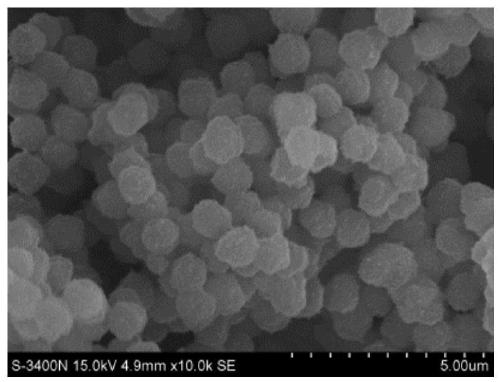 A kind of raspberry-like microsphere, superhydrophobic coating and preparation method thereof