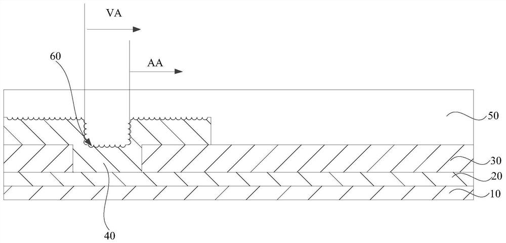 OLED display panel and display device