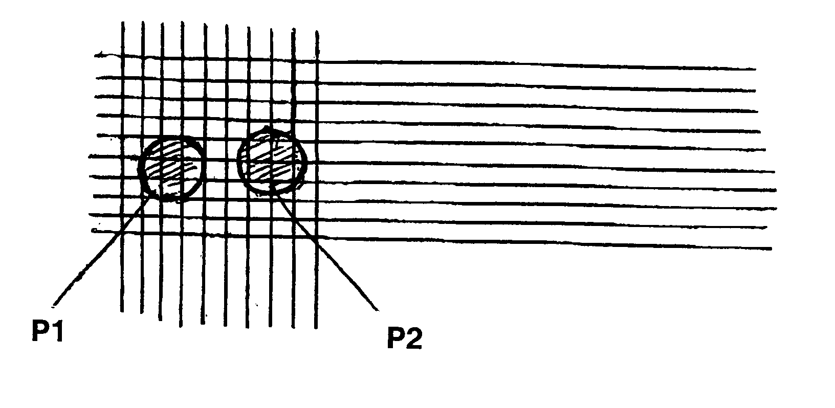 Digital optical measurement of particle populations using reduced magnification