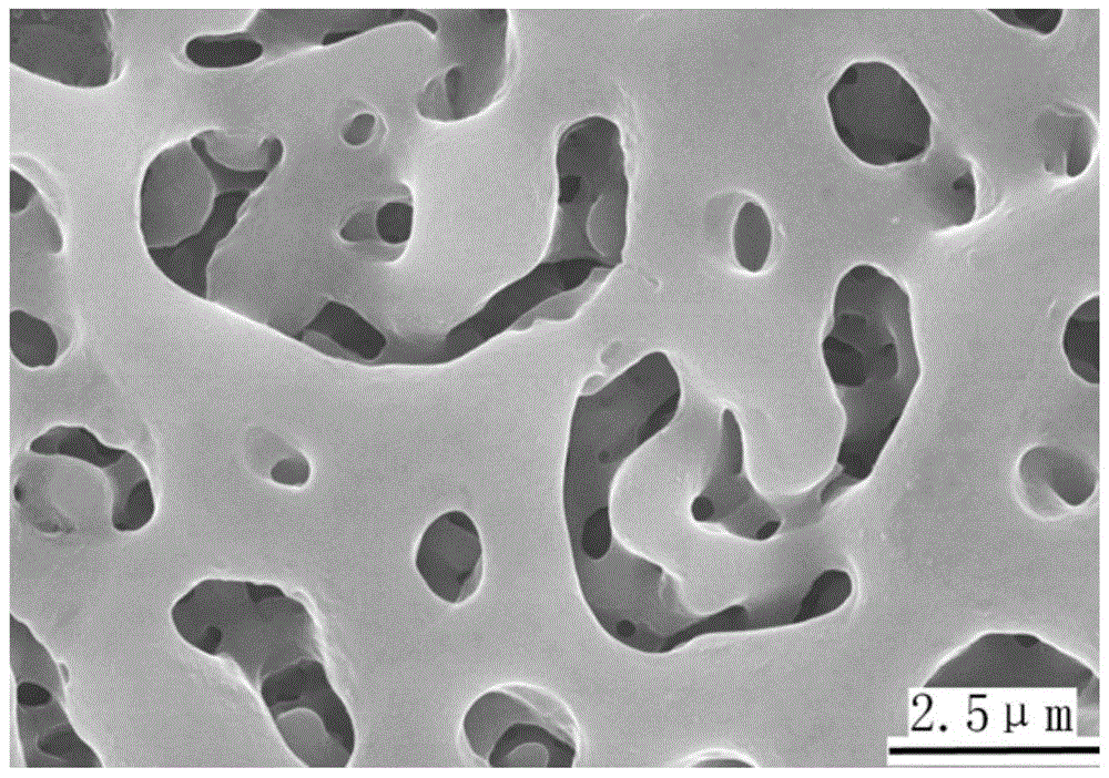 A method for preparing a multi-layered pore structure containing calcium and phosphorus on the surface of titanium