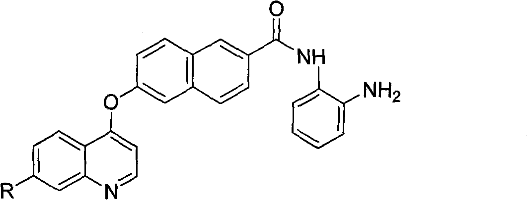 Naphthlamide derivative used as protein kinase inhibitor and histone deacetylase inhibitor and preparation method of naphthlamide derivative