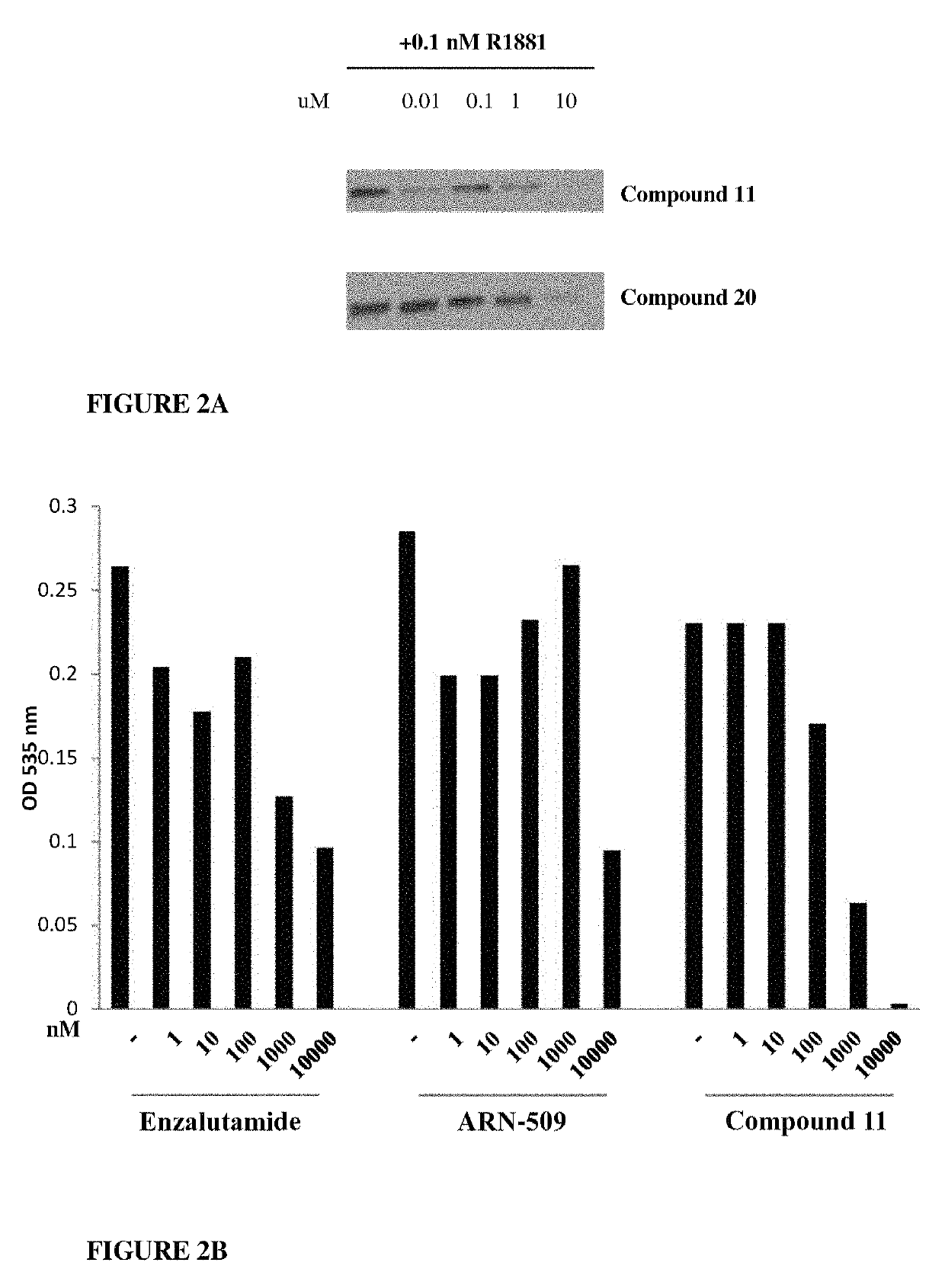 Selective androgen receptor degrader (SARD) Ligands and methods of use thereof