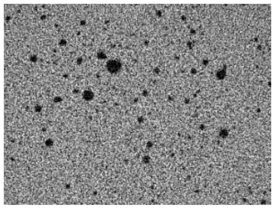 Detection method for internal defects of zirconia double-layer all-ceramic restorations