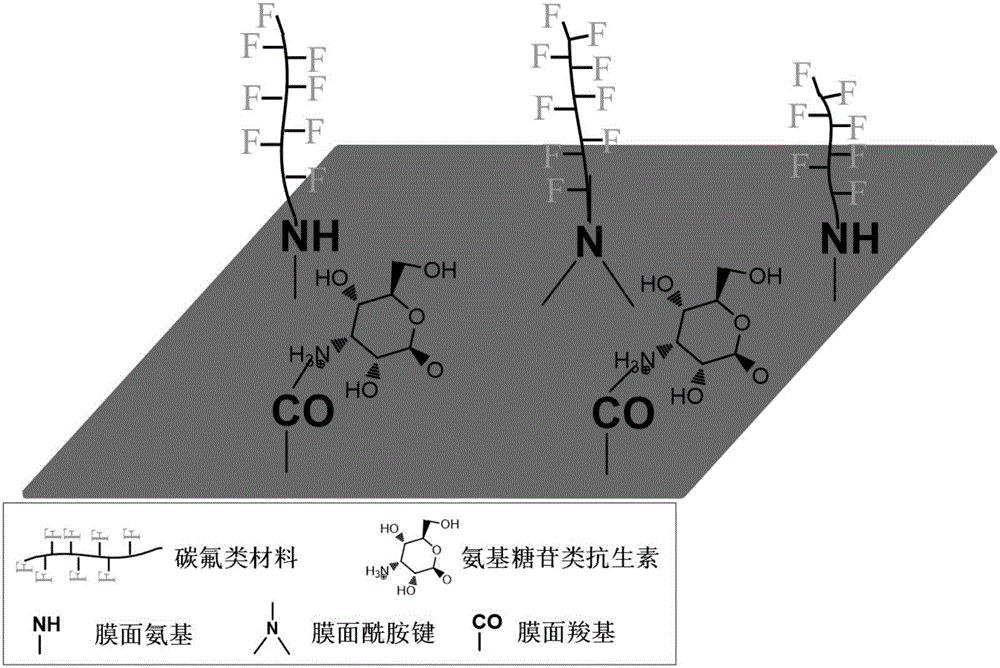 Aromatic polyamide composite RO (reverse osmosis) membrane grafted with fluorocarbon materials and aminoglycoside antibiotics as well as preparation method