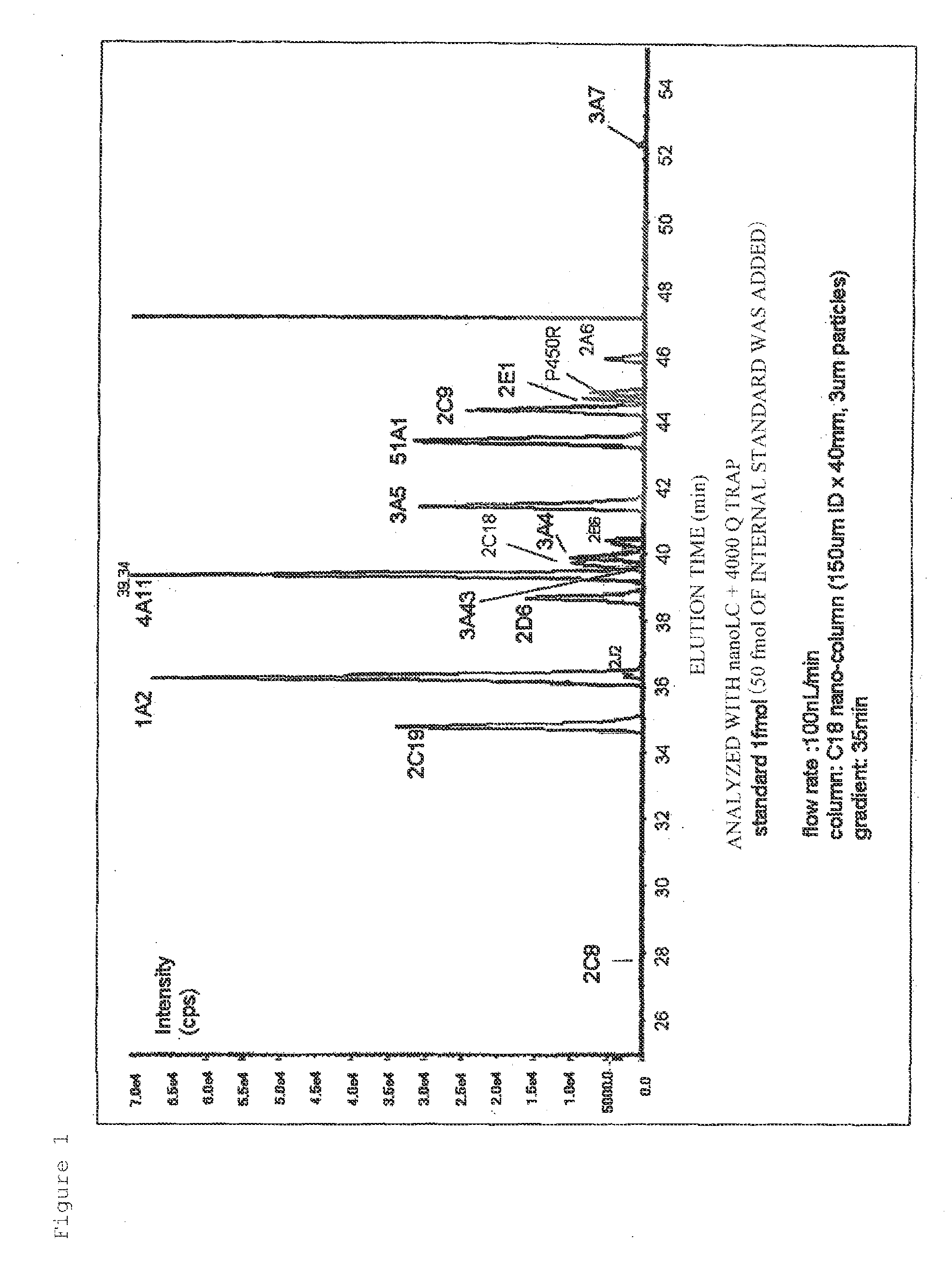 Peptide for use in simultaneous protein quantification of metabolizing enzymes using mass spectrometric analysis apparatus