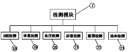 Population health census-based pregnancy monitoring system