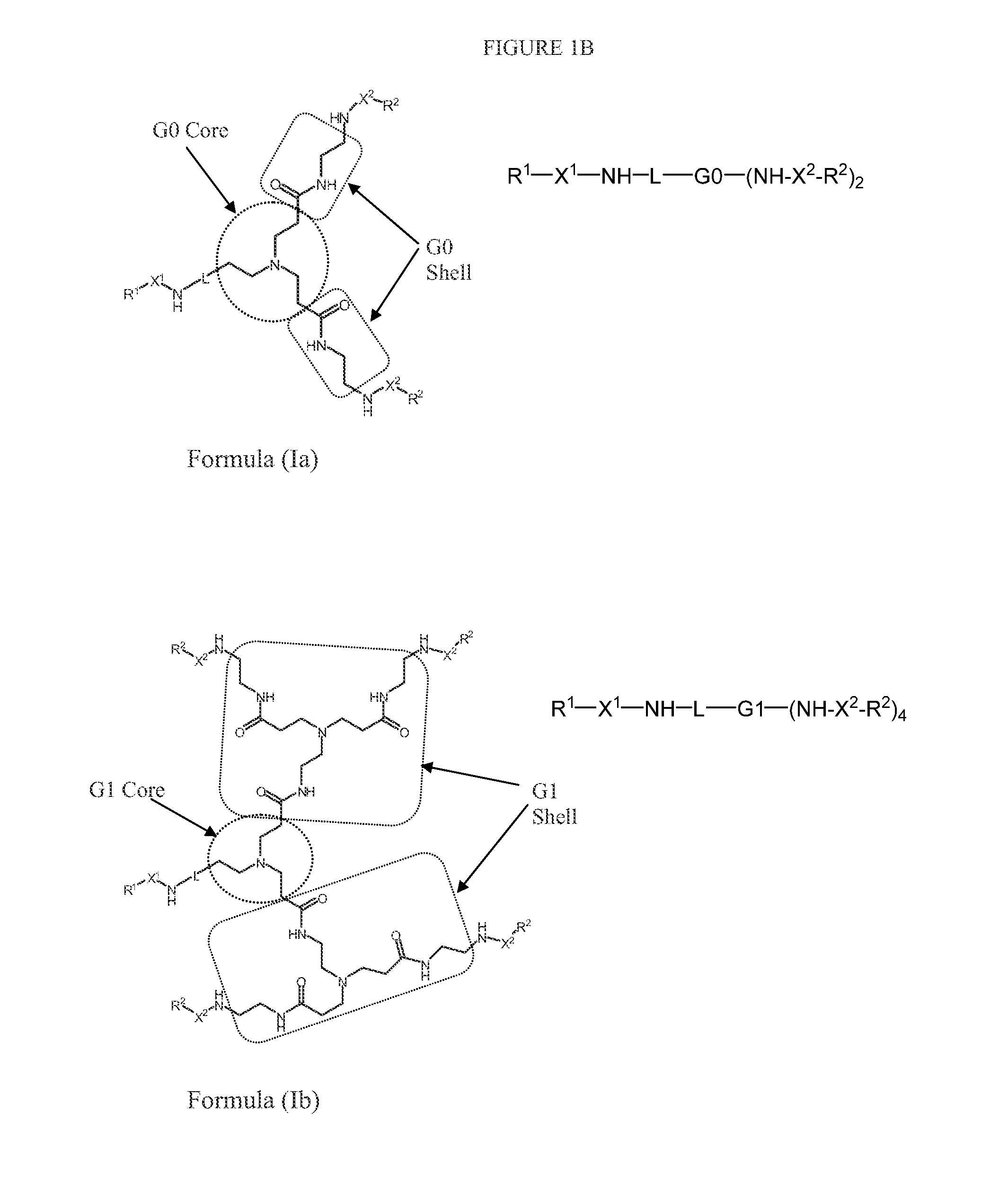 N-boc-dendrimers and their conjugates