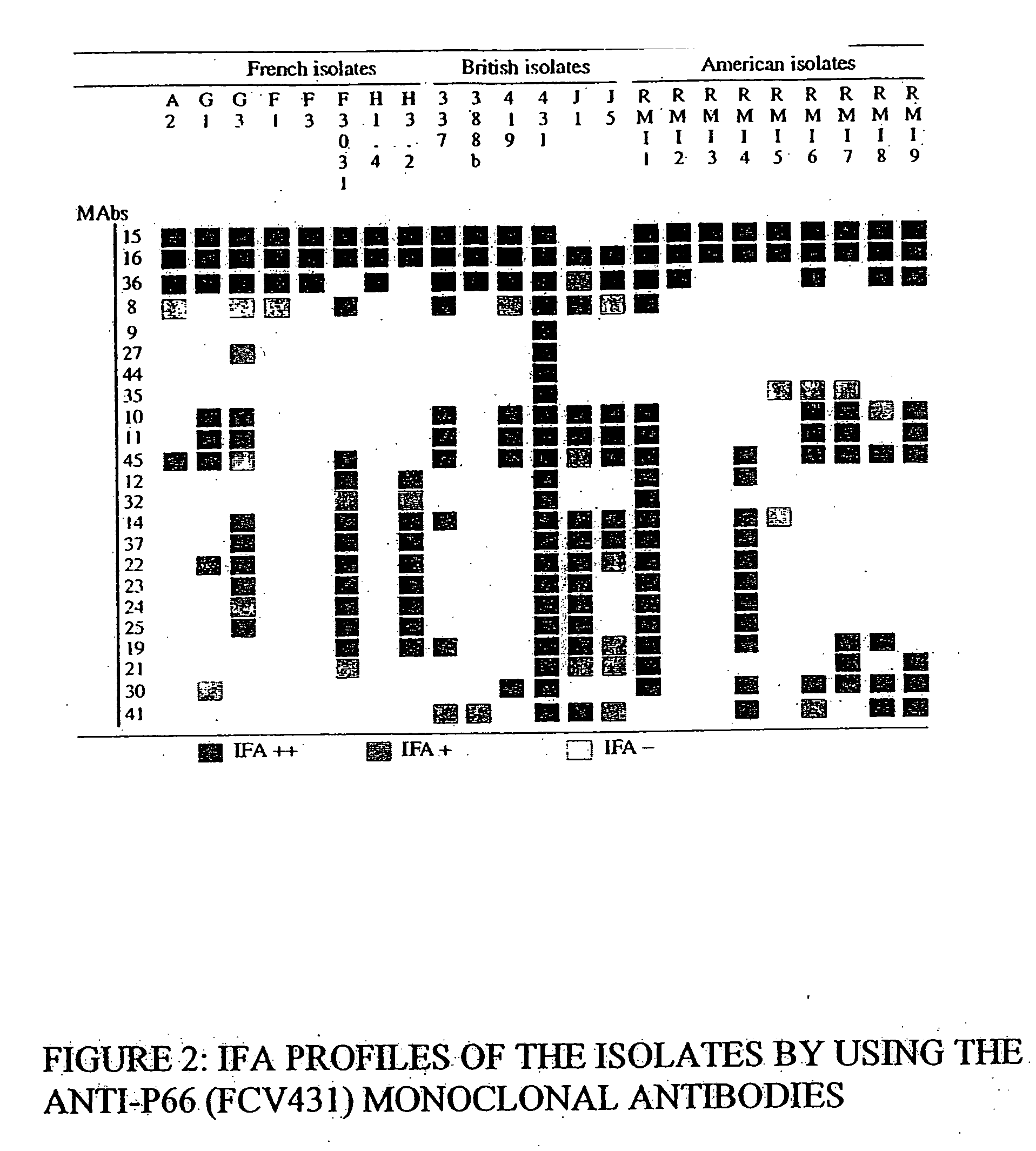 Vaccine against feline calicivirus