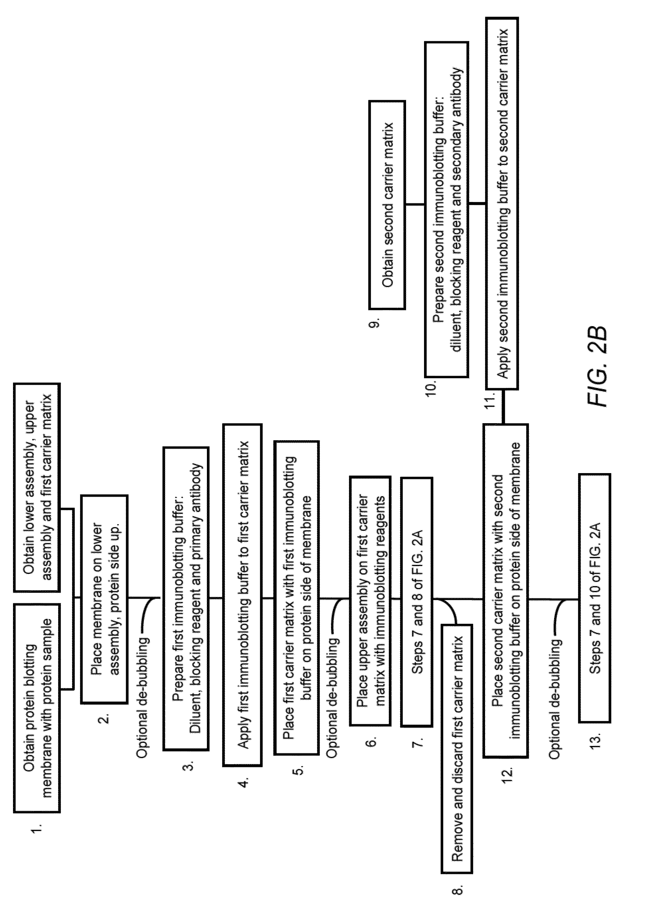 Electrophoretically Enhanced Detection of Analytes on a Solid Support