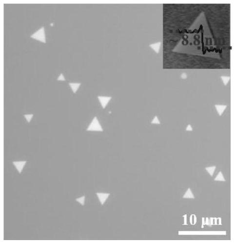 Preparation method and application of two-dimensional ultra-thin CuBr nano sheet