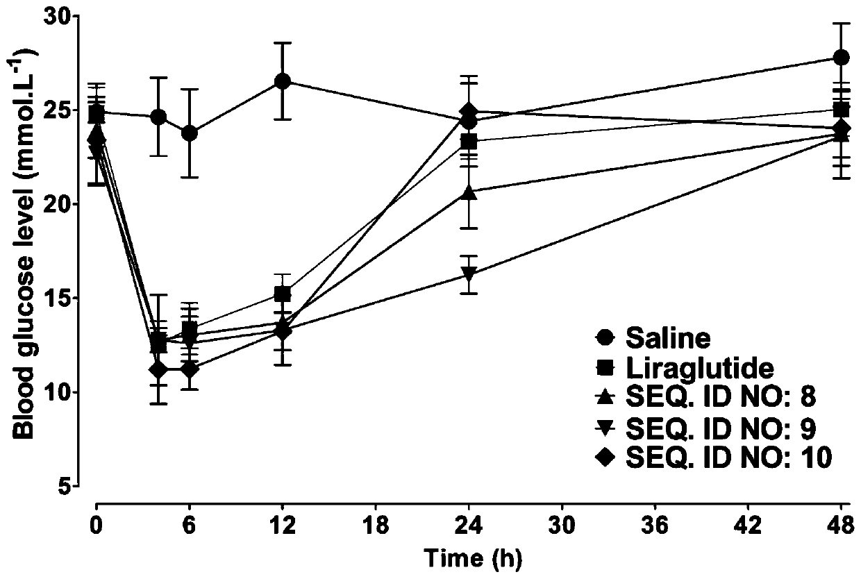 Gemfibrozil-xenopus glucagon-like peptide-1 derivative and application thereof