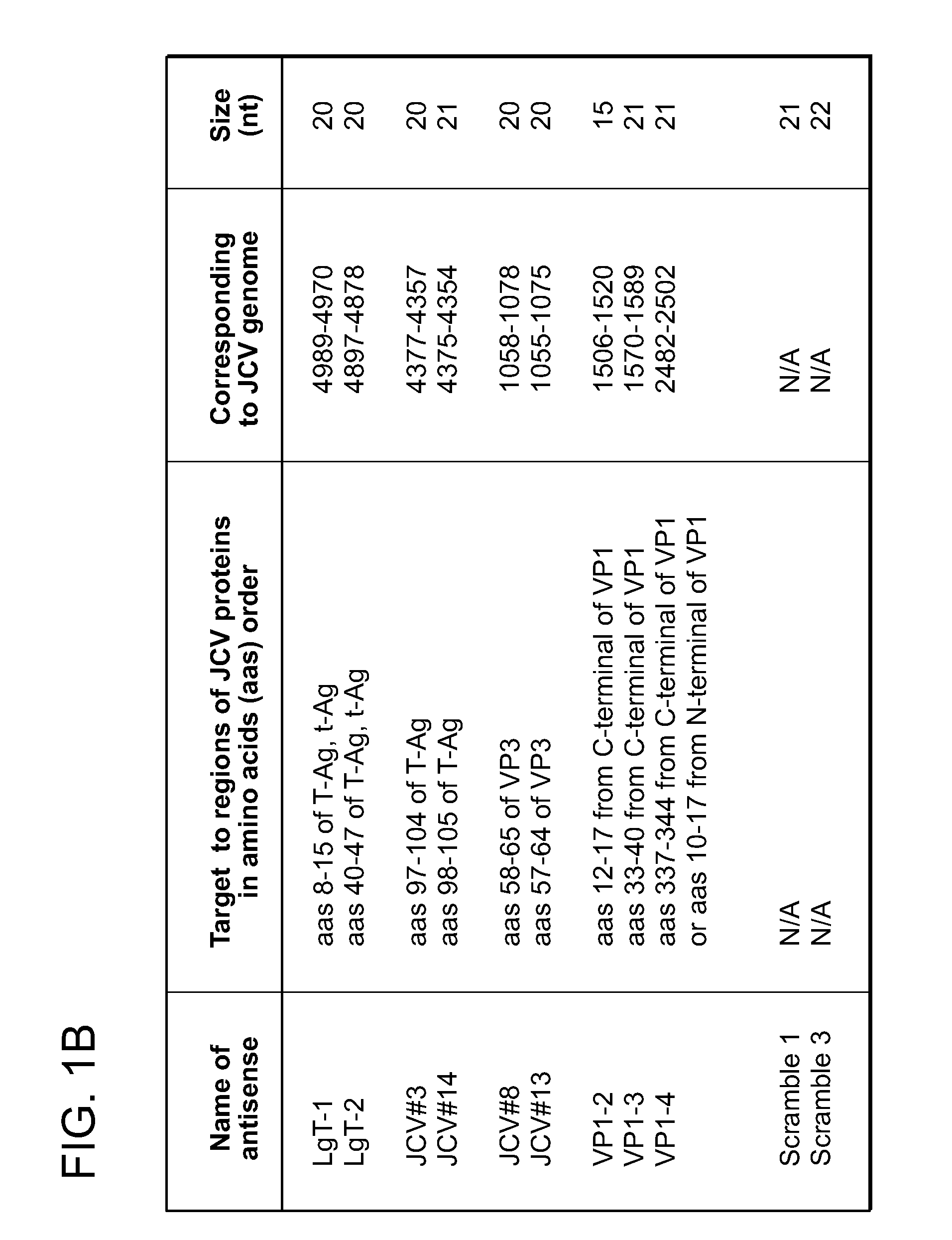 Compositions and methods for inhibiting jc virus (JCV)