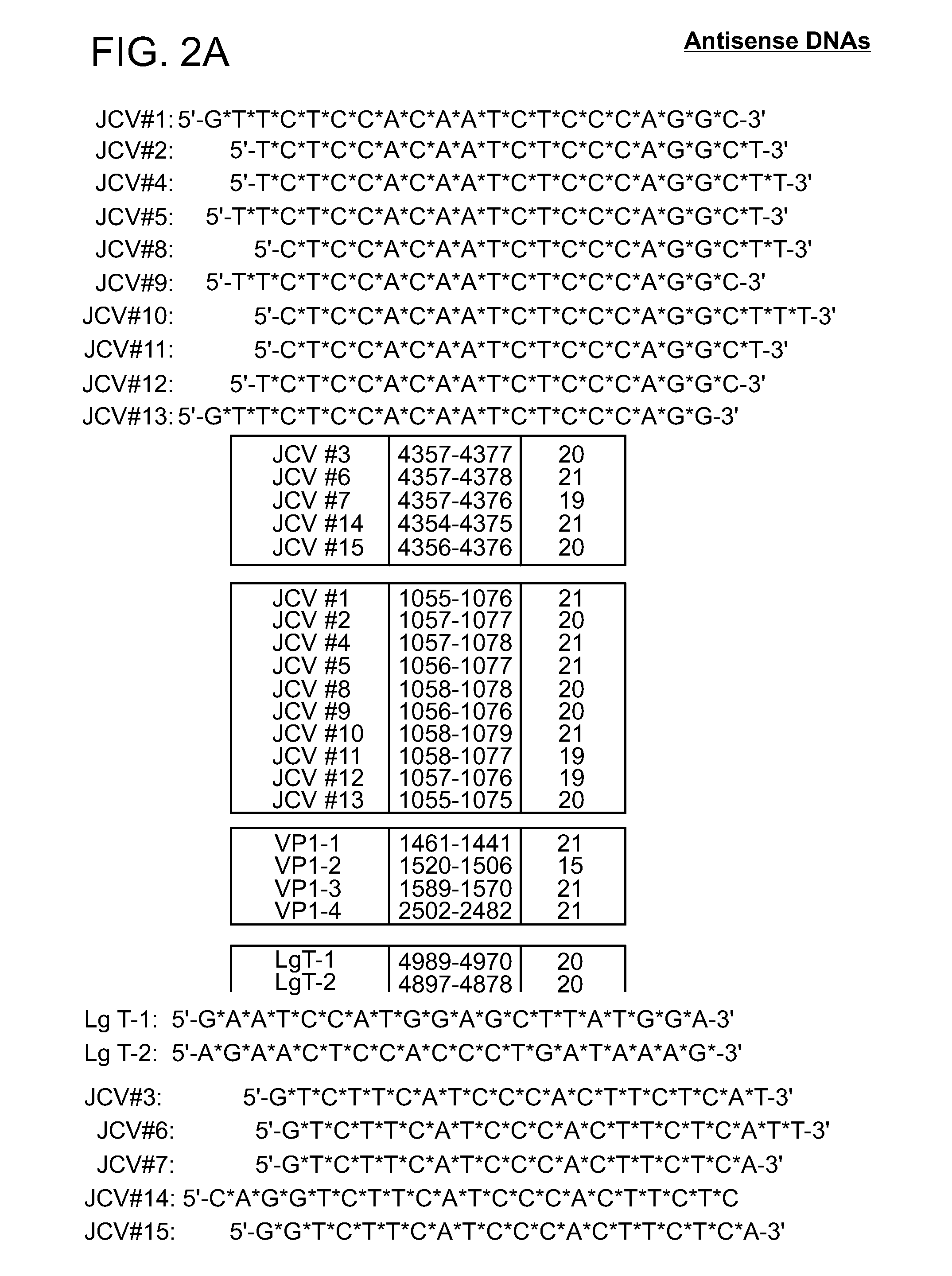 Compositions and methods for inhibiting jc virus (JCV)