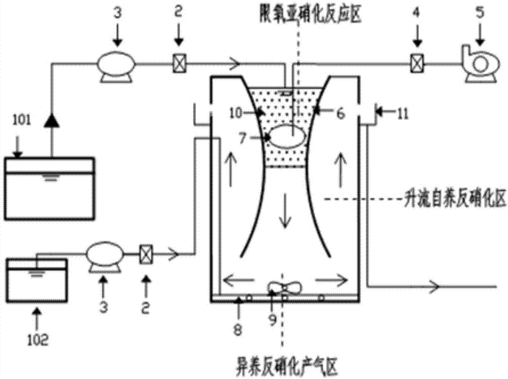 Autotrophic denitrifying nitrogen-removal reaction device, denitrification system and denitrification method of denitrification system