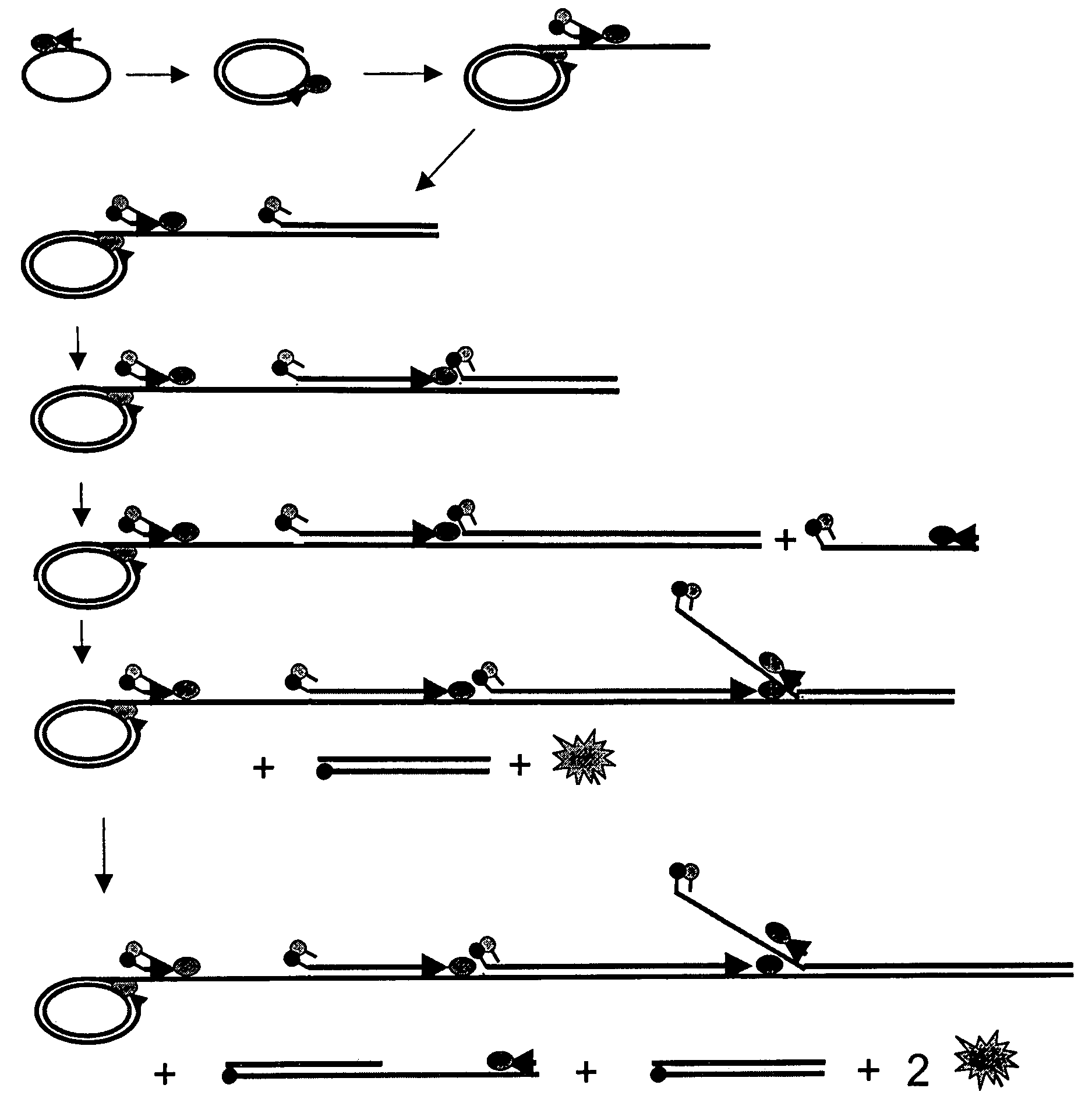 Nucleic acid amplification methods