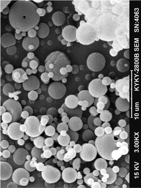 Chitosan quaternary ammonium salt macroporous microspheres for pulmonary inhalation and preparation method thereof