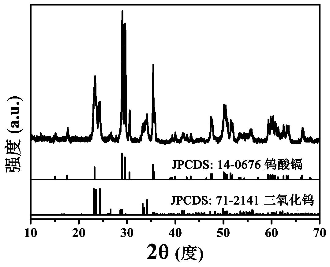 Tungsten trioxide/cadmium tungstate nanofiber photocatalytic material and preparation method and application thereof