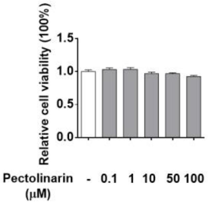 Application of pectolinarin in preparation of neuroinflammation inhibitors