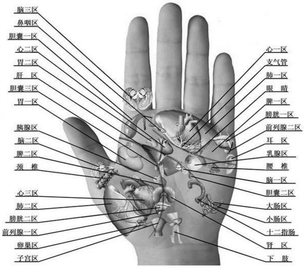 Digital physical examination system for valued acupuncture points