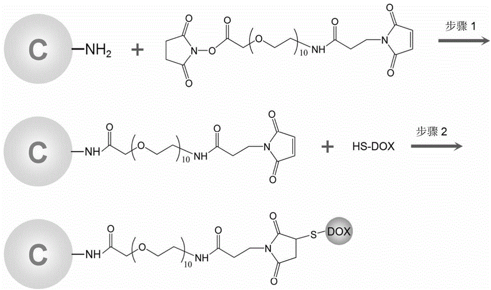 Application of carbon dot as anti-tumor medicine carrier