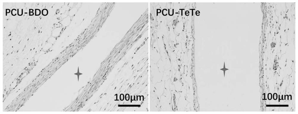 A kind of degradable polycarbonate polyurethane containing ditellurium and preparation method thereof