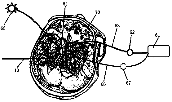 Lateral ventricle puncture training system and manufacturing method thereof