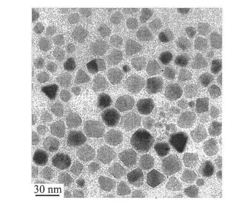 Preparation method of magnetic iron oxide nanoparticle capable of stably dispersing in water
