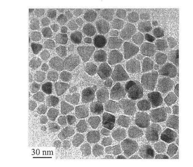 Preparation method of magnetic iron oxide nanoparticle capable of stably dispersing in water